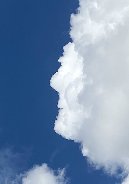 自然的脸图片下载