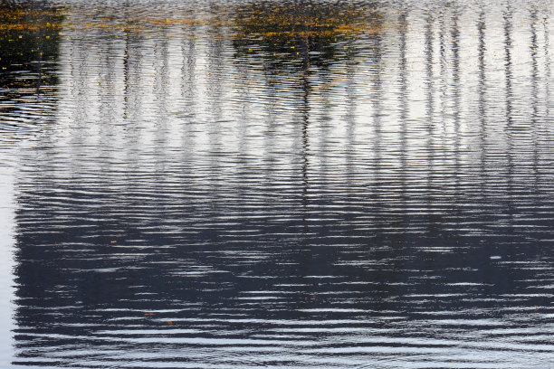 波的抽象形式图片下载