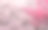 粉红色樱花在日本盛开的季节图片下载