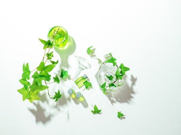 常青藤(Hedera helix)植物芽与绿叶和植物精华或有机提取物在烧瓶和小瓶。天然成分的替代医学，健康化妆品的概念。图片下载