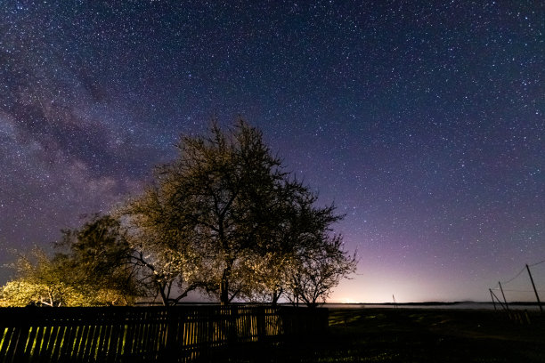 风景摄影，夜景摄影。恒星，银河系中的银河系。长时间曝光的照片。树木、田野和天空。村子里的午夜。太空的天文学概念图片下载