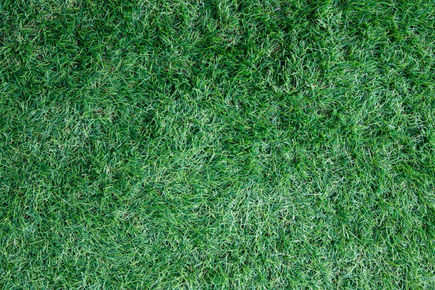 绿色人造草背景或纹理图片下载