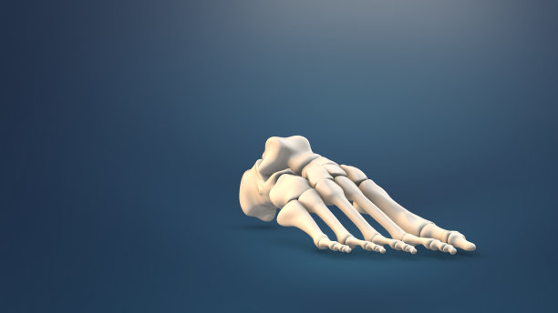 人体足部骨医学背景的特写图片下载