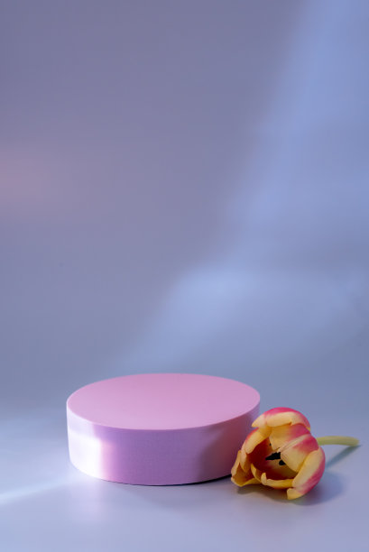摘要最小场景空舞台与粉红色的讲台上蓝色背景红色郁金香花阴影蓝色色调的照片底座化妆品产品模型垂直图片下载