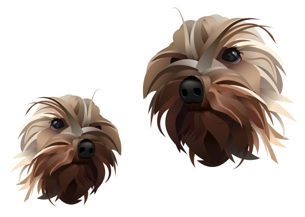 约克郡犬矢量线插图孤立图片下载