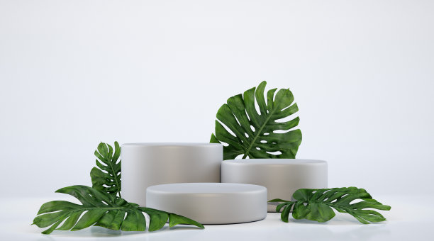 3d渲染舞台讲台背景。圆形平台与白色背景上的绿叶设计概念。3 d渲染。图片下载