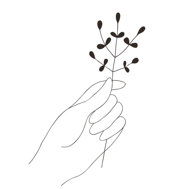 矢量插图与抽象女性的手和枝在极简的线性风格。图片下载
