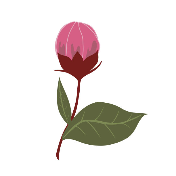 可爱的春天樱花向量孤立的插图图片下载