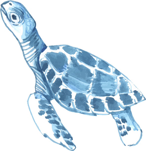 水彩手绘，海龟孤立在白色背景。航海蓝色水下设计元素。图片下载