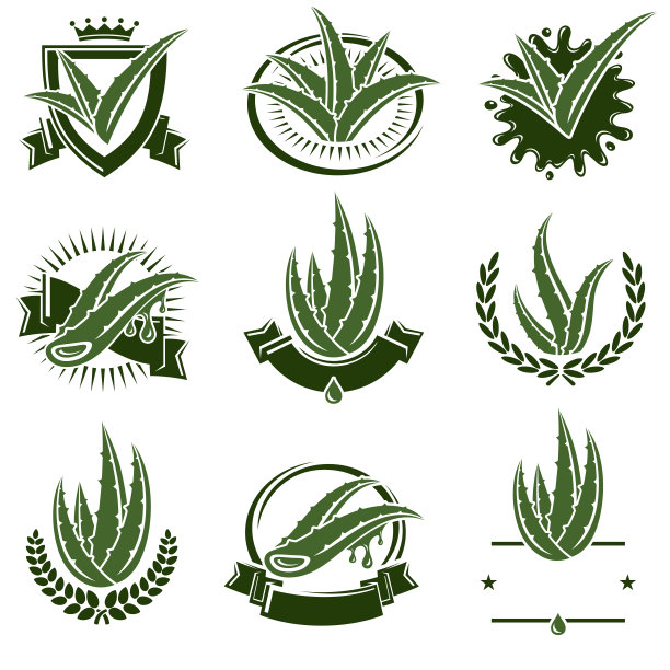 芦荟标签和元素设置。收集图标芦荟Vera。向量图片下载