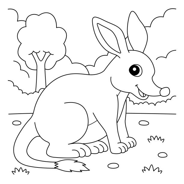 兔耳袋狸动物着色页为孩子图片下载