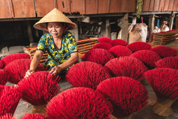 越南北部，一名越南妇女戴着圆锥形的帽子在户外晾干熏香图片下载