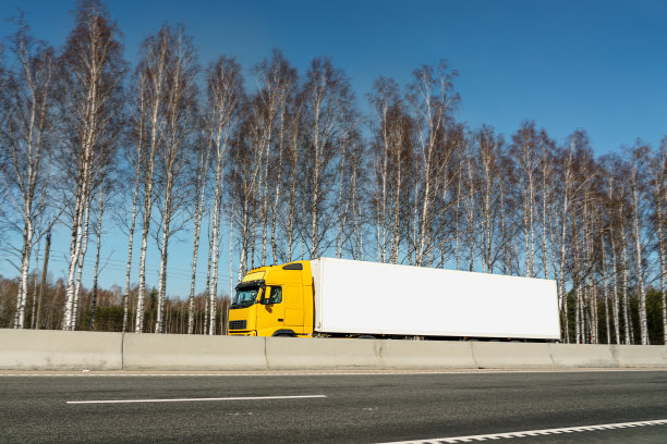 货物拖车与长集装箱空白模拟的地方为广告信息图片下载