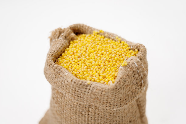 在白色的背景上，用碗和袋子擦亮小米。高质量的照片图片下载