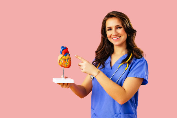 身穿蓝色制服、手持听诊器的女心脏病医生手里拿着人体心脏模型，正在讲解心脏的结构图片下载