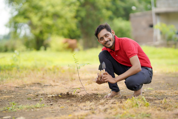 一个年轻人在田里种树图片下载
