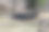 一棵天然的树躺在草地上图片下载