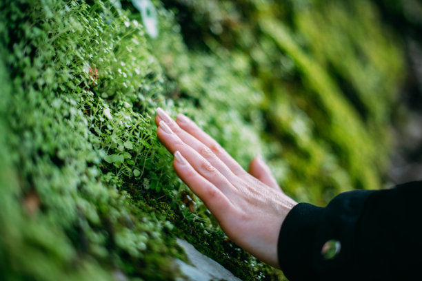 热爱大自然的年轻女子触摸草地图片下载
