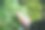 热爱大自然的年轻女子触摸草地图片下载