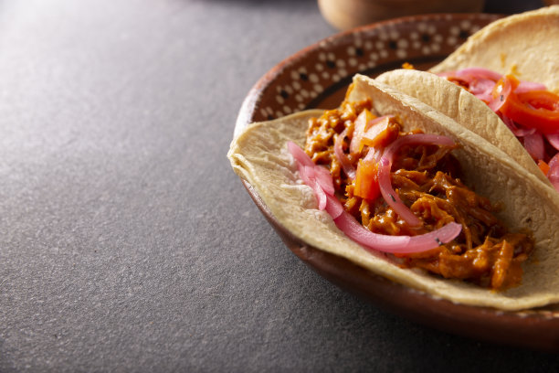 近距离观看Cochinita Pibil Taco图片下载