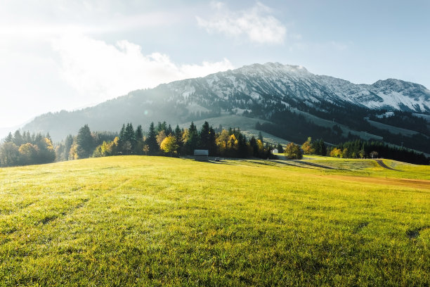 在Oberallgäu山上草原上明亮的晨光图片下载