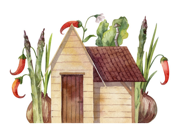 可爱的郊区农舍，木墙和斜瓦屋顶。带着巨大蔬菜的小花园房子。收获时节的水彩插画图片下载