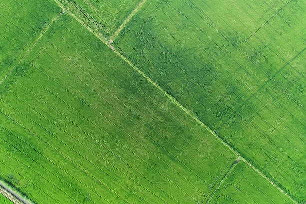 绿色稻田鸟瞰图泰国农村图片下载