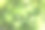 摘要模糊的绿色自然在日光的背景下，绿意盎然图片下载