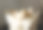 在室内的篮子里的小鸡图片下载