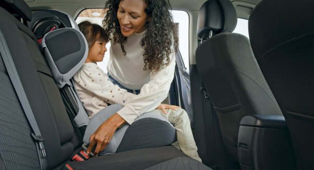 母系安全带图片下载