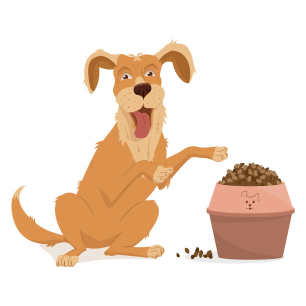 宠物、犬种金毛寻回犬。碗里的狗粮。喂养动物的颗粒。矢量插图，卡通孤立在白色图片下载