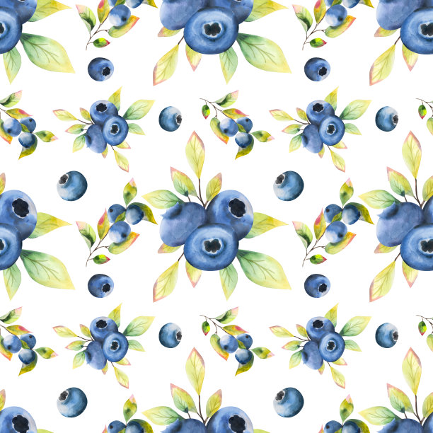 水彩无缝模式。设计在一个白色的背景与蓝莓叶。贝瑞无缝设计。图片下载