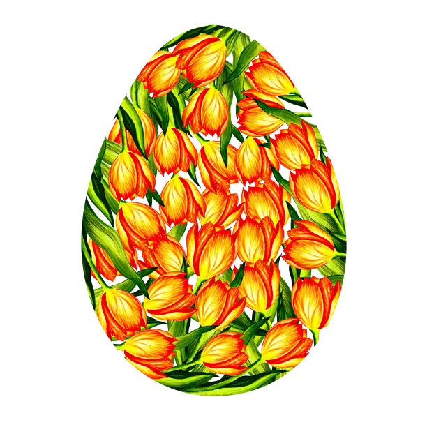 复活节卡片或邀请的模板。复活节快乐。蛋上点缀着盛开的黄色郁金香。水彩。图片下载