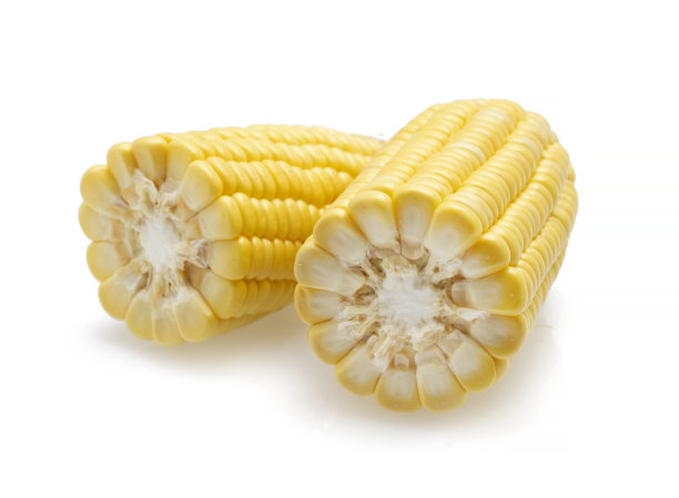 白色背景上的新鲜玉米图片下载