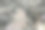 在养鱼场喂鳟鱼图片下载