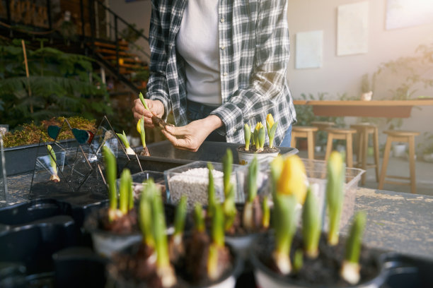 桌子上鲜花的特写照片图片下载