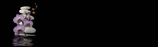 温泉静物，盛开的白色兰花与黑色禅宗石关闭。3 d渲染。图片下载