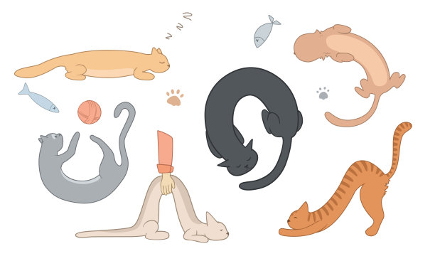 猫矢量插图集图片下载