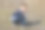那个男孩正蹲在地里图片下载