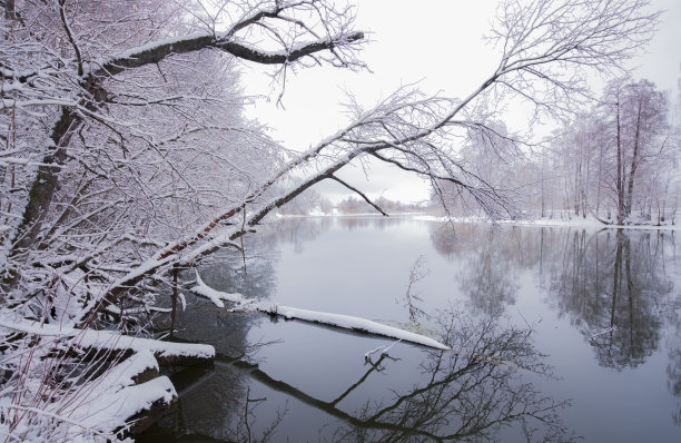 白雪覆盖的树林中，童话般的冬日河流图片下载