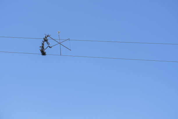 风筝卡在电线上图片下载