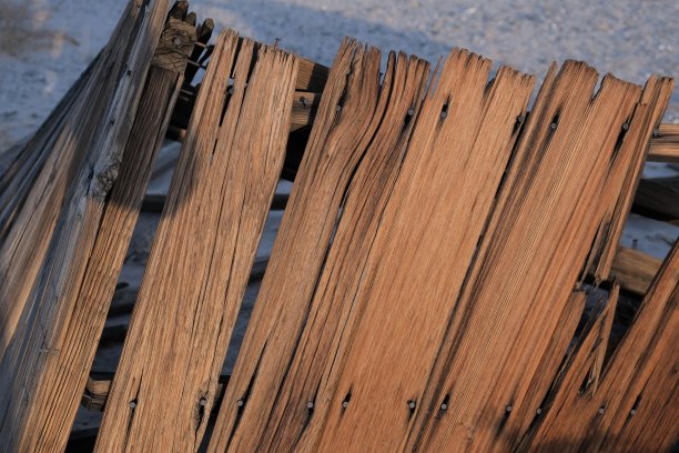 风化的木板矗立在沙漠中图片下载