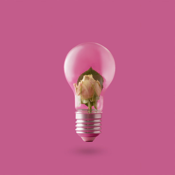 一个玫瑰花蕾在一个灯泡在一个玻璃灯泡，创造性的春夏概念。图片下载