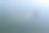 水鸟(绿头鸭)从湖中升起，在水面上留下一串涟漪。颜色的野生动物照片。图片下载