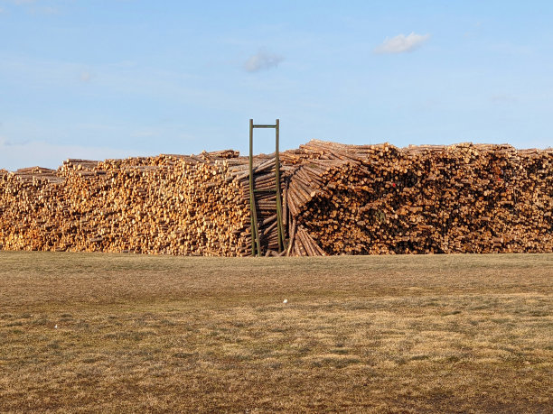 大型木堆在锯木厂木材场图片下载
