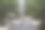 在荷兰的库肯霍夫公园，春天的一个雨天，白色的鸭子在一个美丽的公园的湖面上游泳图片下载