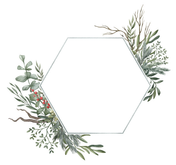 水彩植物图片下载