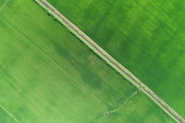 绿色稻田鸟瞰图泰国农村图片下载