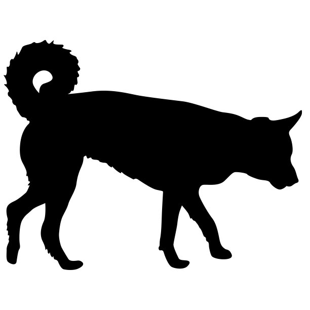 拉布拉多狗黑色剪影在白色的背景。图片下载