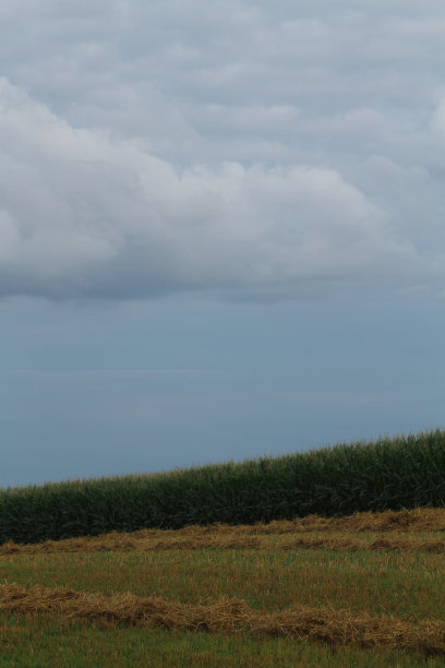 的判断图片下载